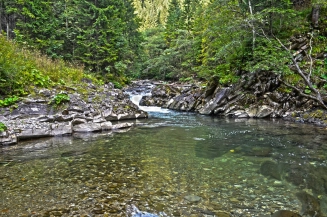 Spooked trophy Spooked trophy