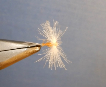 Spent Rusty CDC Spinner Spent Rusty CDC Spinner