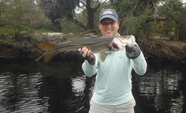 Average river snook Average river snook