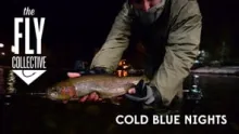 Video thumb for Cold Blue Nights