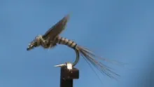 Video thumb for No Hackle Olive Emerger