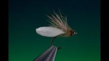 Video thumb for Para Post Diving Caddis