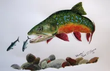 User submitted picture: Acrylic on paper.