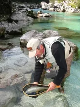 User submitted picture: Grayling from the canyon
...