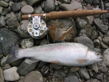 User submitted picture: Isar rainbow