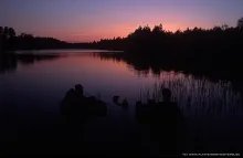 User submitted picture: Pike fly fishing from Bel...