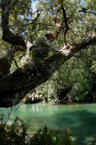 User submitted picture: ...searching in deep pool