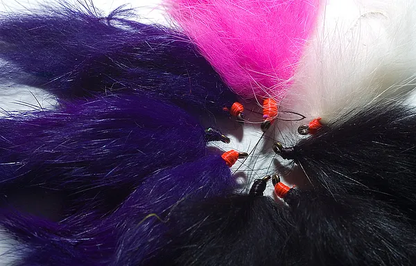 User submitted picture: Bunnie Leach type flies f...