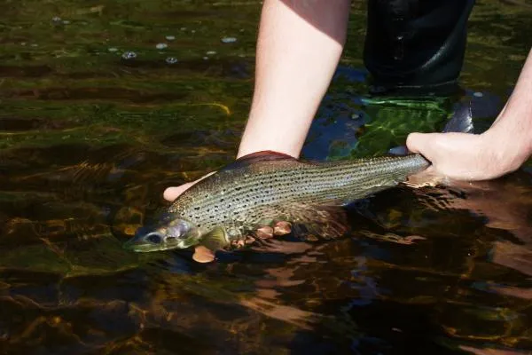 User submitted picture: Back to home, and see you...