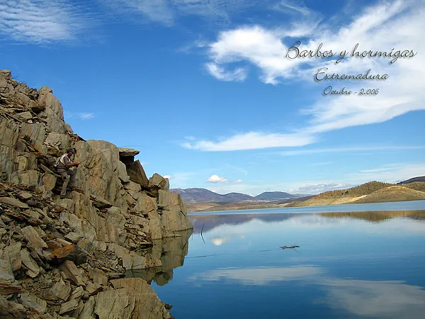 User submitted picture: Everything hinders. It bo...