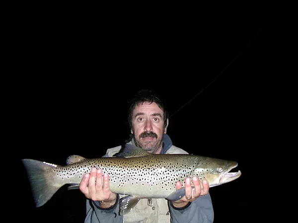 User submitted picture: BROWN TROUT
FISH WITH WI...